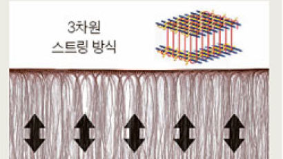 '공기 침대'에 'S라인 척추' 자세로 누우면 밤새 쿨쿨