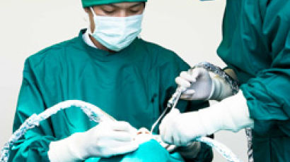 뉴페이스치과병원 정명호 원장 "한국의 수준 높은 치과 의료 기술, 세계로 알려 나갈 것"