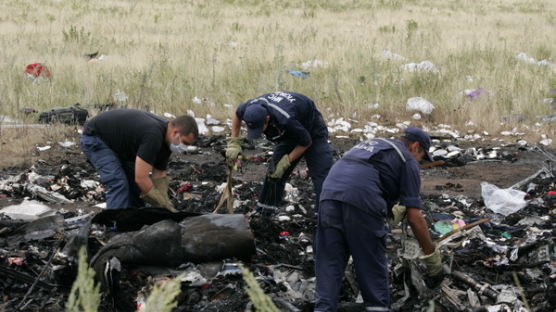 [사진] 말레이시아 여객기 MH17 … 누가 격추했나 증거 잇따라 제시