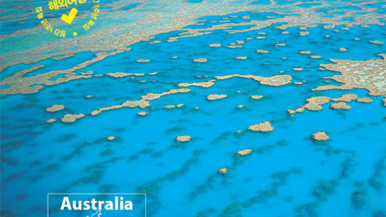 5200㎞ 해변, 2000㎞ 산호초 … 호주 퀸즈랜드