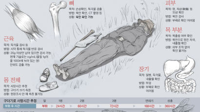 [유병언 사망] 뼈가 핵심 단서 … 근육 20g 있으면 독극물 검출 가능