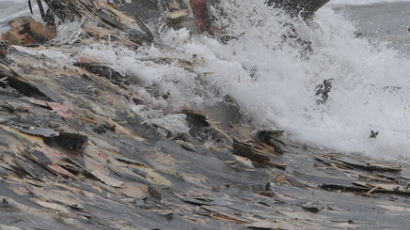 [사진] 태풍 '나크리'의 영향으로 떠밀려온 폐합판