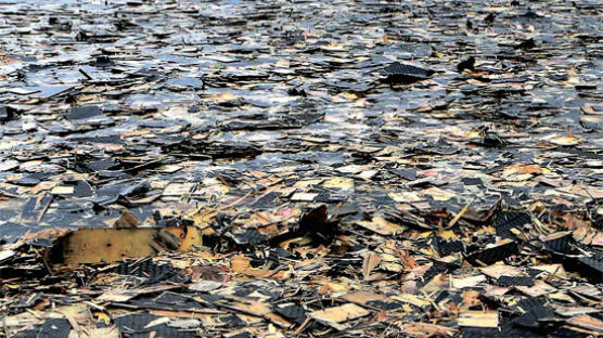 [사진] 해운대 덮친 폐합판