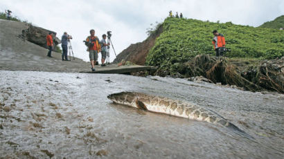 [사진] 폭우에 저수지 둑 무너져