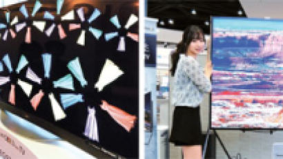 초고화질 TV, LG가 택한 비밀병기는 OLED