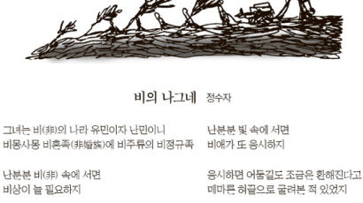 [초대 시조] 비의 나그네