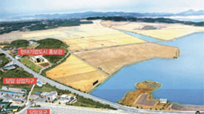 태안기업도시 인근 땅 개발 사업 순항, 매년 쌀 100㎏ 제공