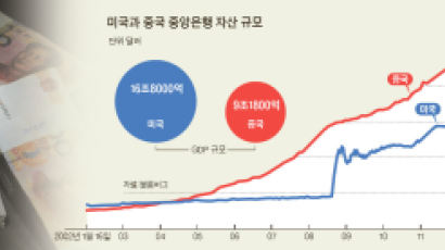 "중국 2005년부터 양적완화 … 자산 거품 키웠다"