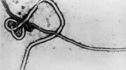 세 번째 미국인 에볼라 감염자 발생…"에볼라 환자와 접촉은 없었다"