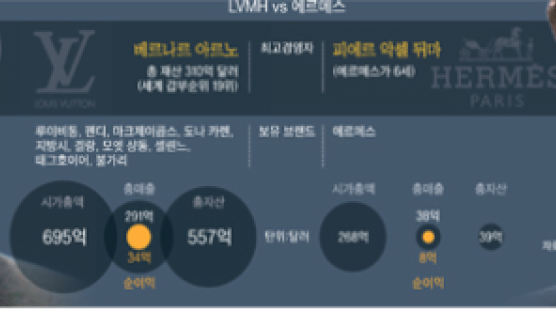 루이비통 vs 에르메스 … 4년 ‘핸드백 전쟁’ 마침표