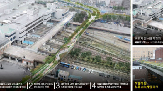 뉴욕 명물처럼 … 서울역고가 '공중 걷는 공원' 만든다