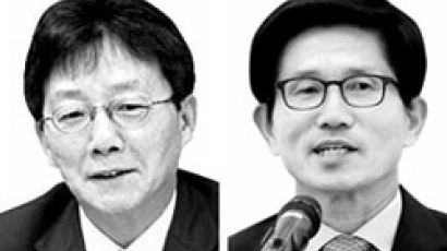 새누리 혁신위장, 유승민·김문수 거론