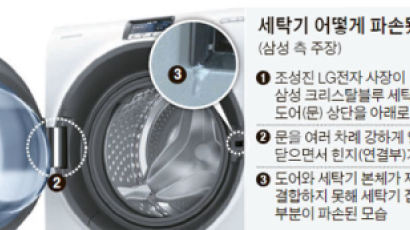 검찰 수사로 번진 삼성·LG '세탁기 전쟁'