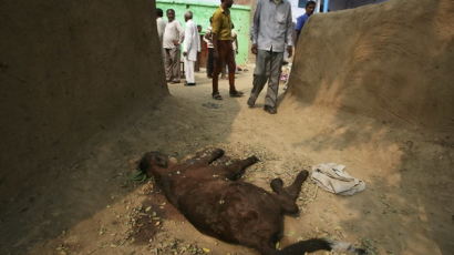 [사진] 인도-파키스탄 또 교전 … 9명 사망 30명 부상
