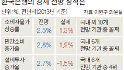 "한은 경제지표 전망 가장 부정확" 질타