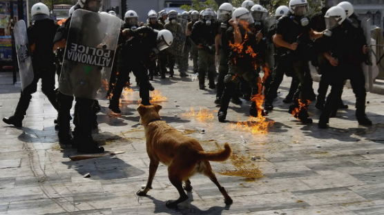 그리스 시위의 상징인 '루카니코스' 사망