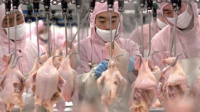 미국이 중국에 닭고기 가공을 맡기는 진짜 이유 