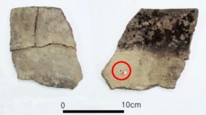 가장 오래된 팥 흔적 두 점 발견…동북아시아에서 최고, 조·들깨도 있어