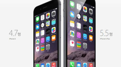 아이폰6, 아이폰6플러스 한국 출시 예정…"출고가 얼마?"