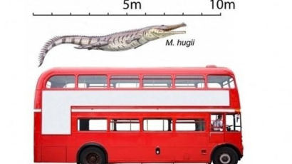 이층버스 크기 고대 악어, 어마어마한 크기 '거대 바다 괴물'?