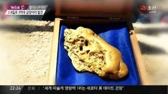 2.8kg 자연산 금덩어리… 국유지에서 발견