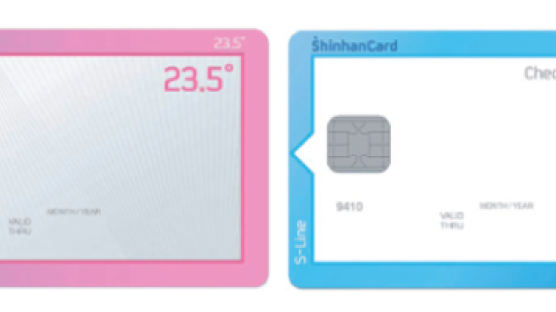 [신한카드] 빅데이터 활용, 개인 소비성향 맞춤 카드