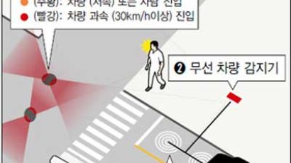 서울시 '교차로 알리미, 보행자 자동인식 신호기 설치'…사고 예방 기대