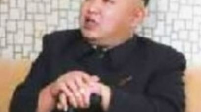 북한 김정은 '건재'…독일 연방위원 "허수아비 권력자는 아니야"