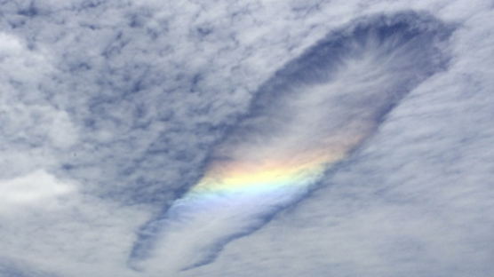[사진] 호주 하늘에 ‘무지개 품은 구름’ 떠 화제