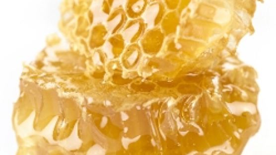 멀꿀이란 '꿀'이 아냐…"관절염 치료에 약보다 효과 좋은 식물"