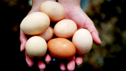 달걀 칼로리, 100g에 138칼로리…조리법마다 칼로리 달라져 '왜?'