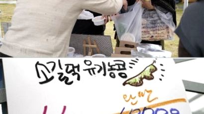 이효리 유기농 콩 논란…"어떠한 처분도 달게 받겠다" 