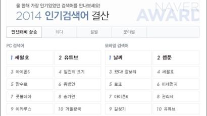 2014 인기검색어 결산…네티즌들 '다음' 검색하러 '네이버' 들어간다