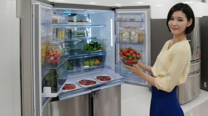 “냉장고 정온 유지 기능이 식품 신선도에 결정적 영향”