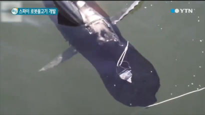 美 해군 "90m 잠수 로봇물고기, 성공적으로 작동"…외형 보니 '깜짝'