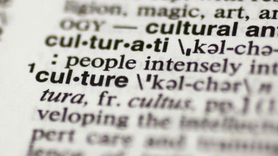 [사진] 영어사전 사이트가 선정한 올해의 단어 ‘문화’ 