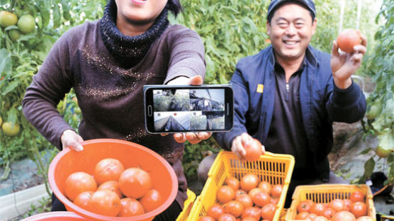 [사진] 농업에도 IT 접목