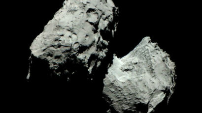 로제타 혜성 화석 정체, 혜성의 기본 구조가 공룡 알 모양