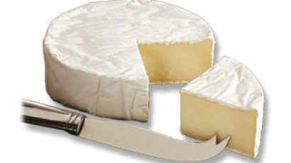 프랑스 치즈의 종류…카망베르치즈·브리치즈는 무슨 맛?