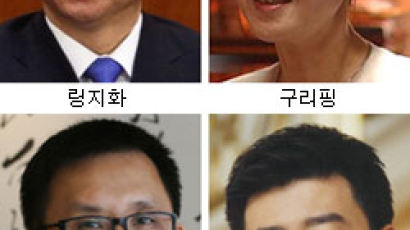 낙마 링지화 부인, 내연남과 일본 밀항하려다 체포