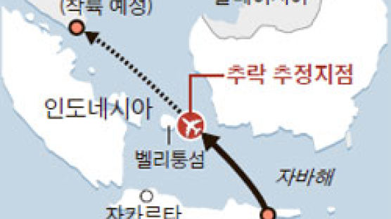 에어아시아기 추락 추정, 선교사 일가족 실종…'CHOI' 최씨 성의 탑승객은? 