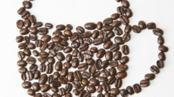 세계의 3대 커피원두, 아라비카 원두 특징 '어떤 맛'