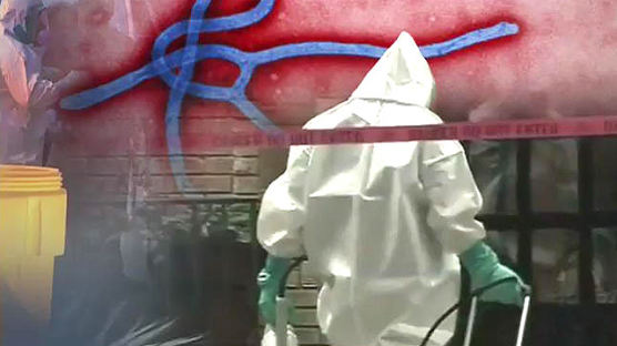 한국 의료진 1명 첫 에볼라 의심, 독일로 긴급 후송