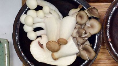항산화에 탁월한 대왕버섯의 효능, 유사한 효능 가진 식품은?