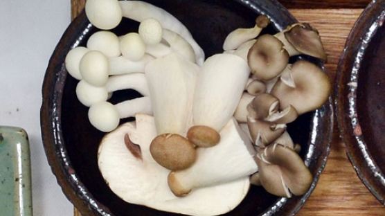 '항산화에 탁월' 대왕버섯 효능, 비슷한 효능 가진 식품은?　 