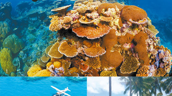 세계적 고급 휴양지 호주 해밀턴 섬