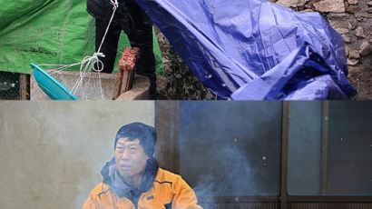 '현지인 포스' 차승원 유해진, '삼시세끼' 현장 스틸컷 공개