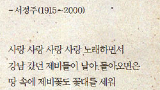 미당 탄생 100년 새롭게 찾은 시 ⑦ 제비꽃