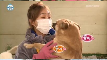 '나 혼자 산다' 효린 비난한 MBC 기자, "주님과 고양이만 보는 여자 정말 질린다"