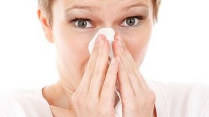 독감과 감기는 다른 질병이다…독감 감기 구별법, 뭐가 다르나?